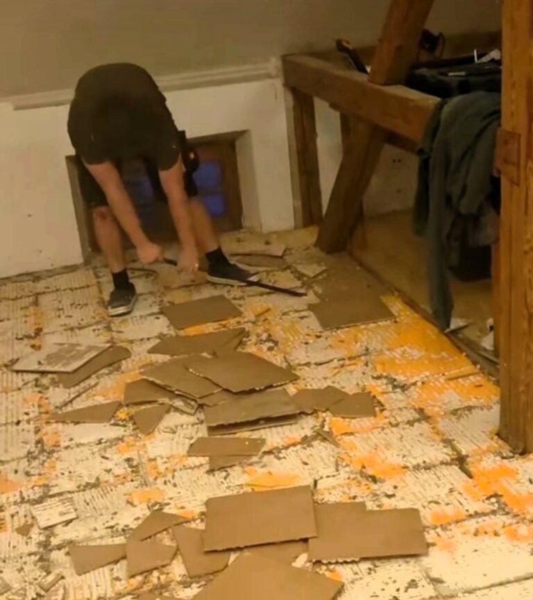 🏠 Pfadiwohnung: Die Renovierung läuft an